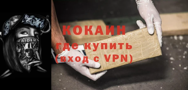 гашик Карпинск