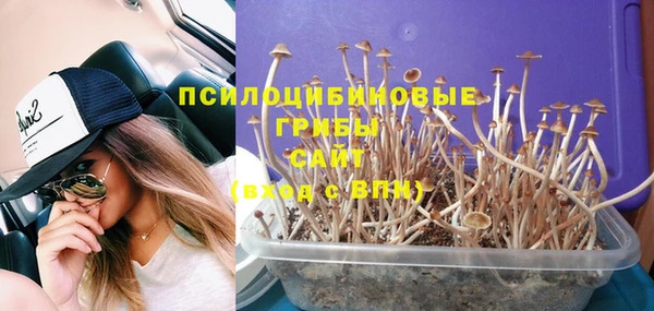а пвп мука Снежногорск