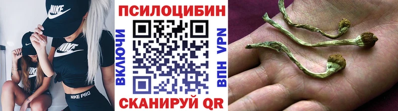 купить закладку  Азнакаево  Галлюциногенные грибы Psilocybe 