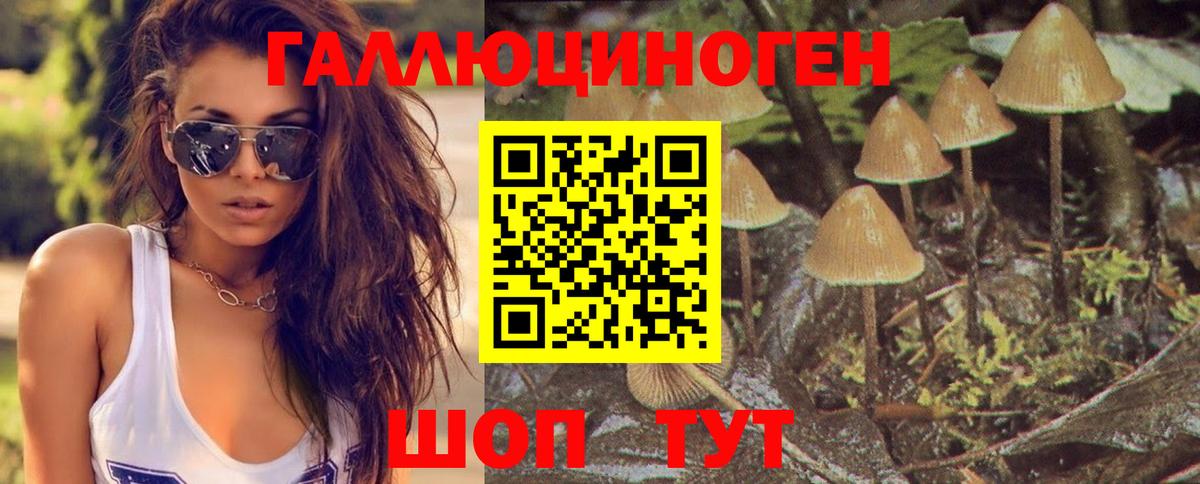 Псилоцибиновые грибы мухоморы  Галлюциногенные грибы MAGIC MUSHROOMS  Вход с VPN  Азнакаево 
