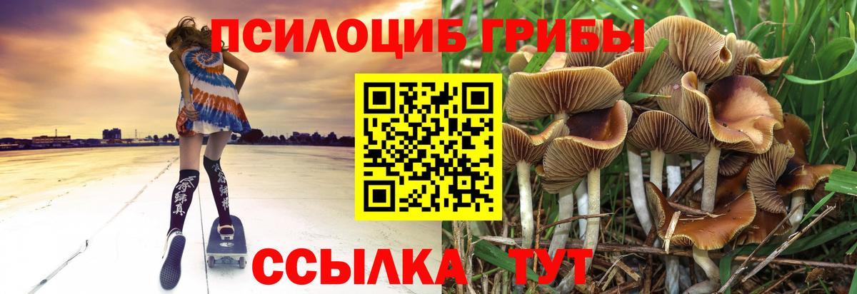 Галлюциногенные грибы GOLDEN TEACHER Азнакаево